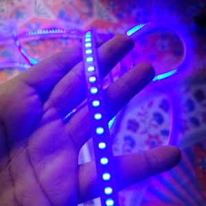 5 Meter Led Strip Light BLUE color