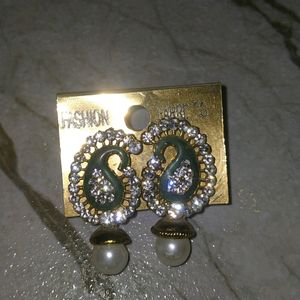 A Beautiful Earring