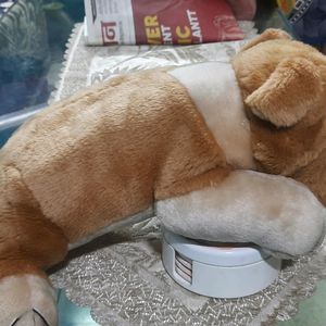 Cute Soft Toy Of Dog