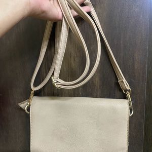 Caprese Khaki Colored Bag With Good Storage.