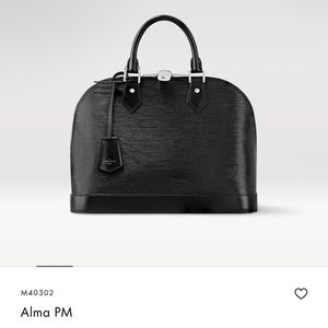 Louis Vuitton LV Black Bag