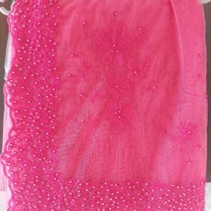 Beautiful Net Sari Only