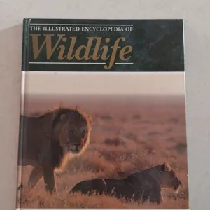 Encyclopedia Of Wildlife