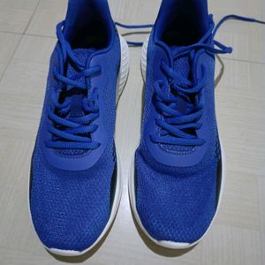 Sports Shoes