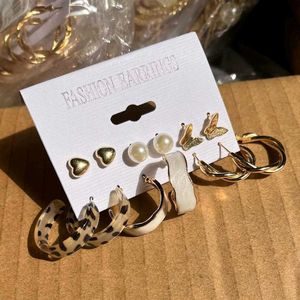 Leopard Earrings Set