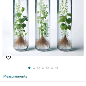 Test Tube Set Of 3