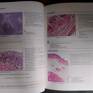 INDERBIR SINGH'S HUMAN HISTOLOGY