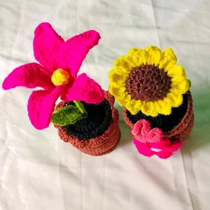 Combo Pack Crochet Flowers With Pot