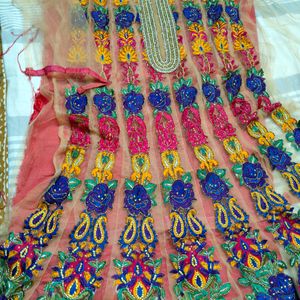 Full Net Work Anarkali Dress