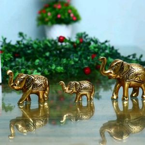 Gold Elephant Showpiece For Home Decor Pack Of 3