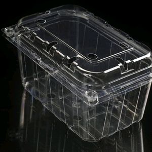 Disposable Plastic Containers With Hinged Lid 6pcs