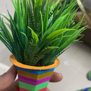 Handmade Pot And Plant