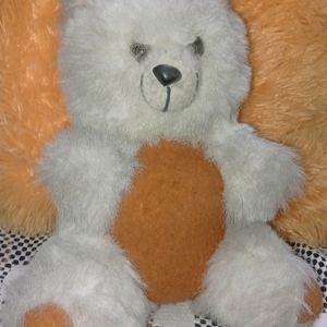 Teddy Bear Brown And White