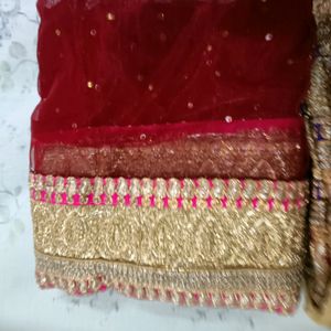 Golden Pink Red Lehenga