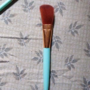 Makeup Brushes Combo Pack