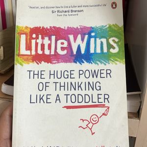 Little Wins Book