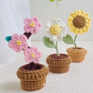 Crochet Flower Pots