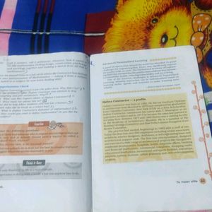 Ncert Books Class 8th English Supplementary