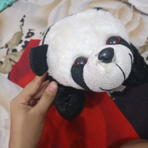 Cute Panda Softoy