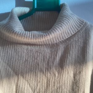 Beige Turtle Neck