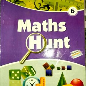 Math Hunt Book Class 6th (English Medium)