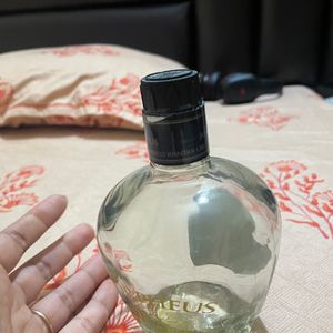 Empty Bottle