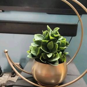 Metal Design Vase with Gold Finish