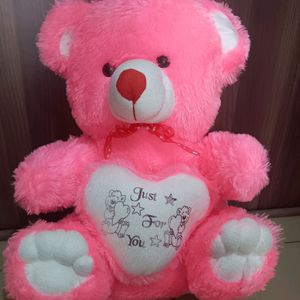 Pink 🩷 Super Soft Teddy