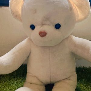 Taddy Bear Soft Toy