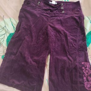 Half Pant( 💜 Colour)