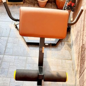 Gym Hyperextension Bench