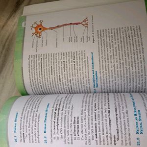 Ncert Biology Book - Class 11 And 12