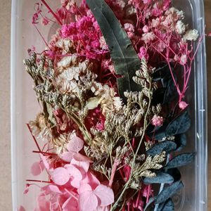 Dry Flowers Box