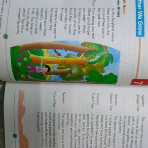 Std 3 Text Books