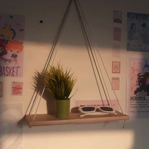 Aesthetic Wall Wood Hanging Shelf