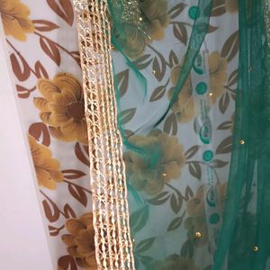 Green Beautiful Net Duppatta