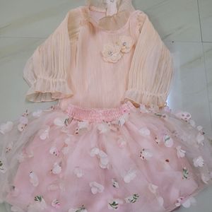 Baby Girl Facy Top Skirt