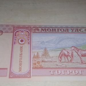 Currency Collection Unc Condition