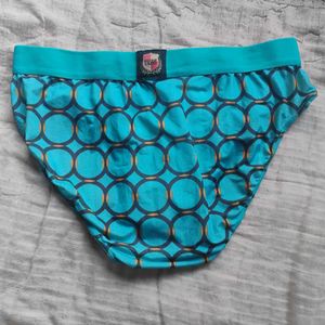 Sea Green Silky Briefs