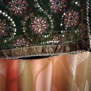 Organza Saree