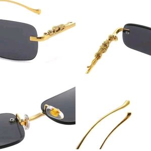 Sunglass For Women And Men