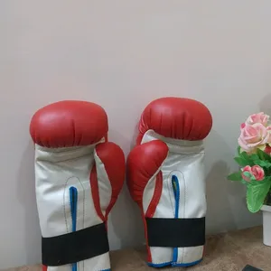 Boxing Fight Gloves(Men & Women)