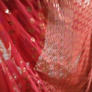 Full Sequence Saree Havey Pallu