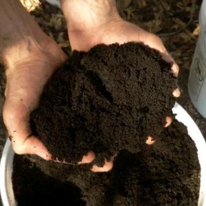 Vermicompost Cow Dung & Earthworms 10 Kg