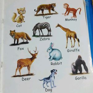 Kids ABCD Books