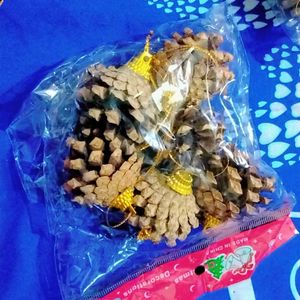 Natural Pinecones Pistachio Pine Cones Ornaments