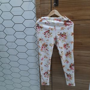 Floral Pant (Unsend ) By Desibella