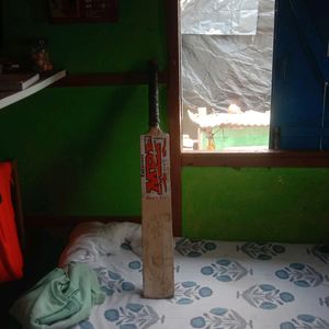 Cricket Bat