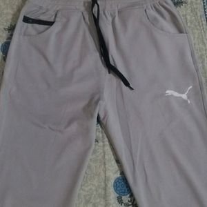 Gym Trouser