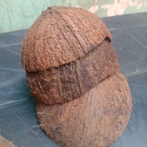 10 Coconut Shell